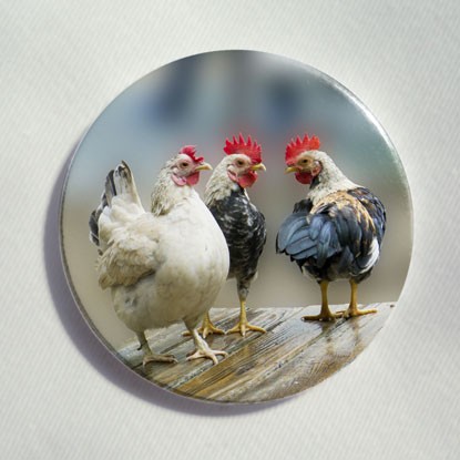 Button „Drei Hühner“